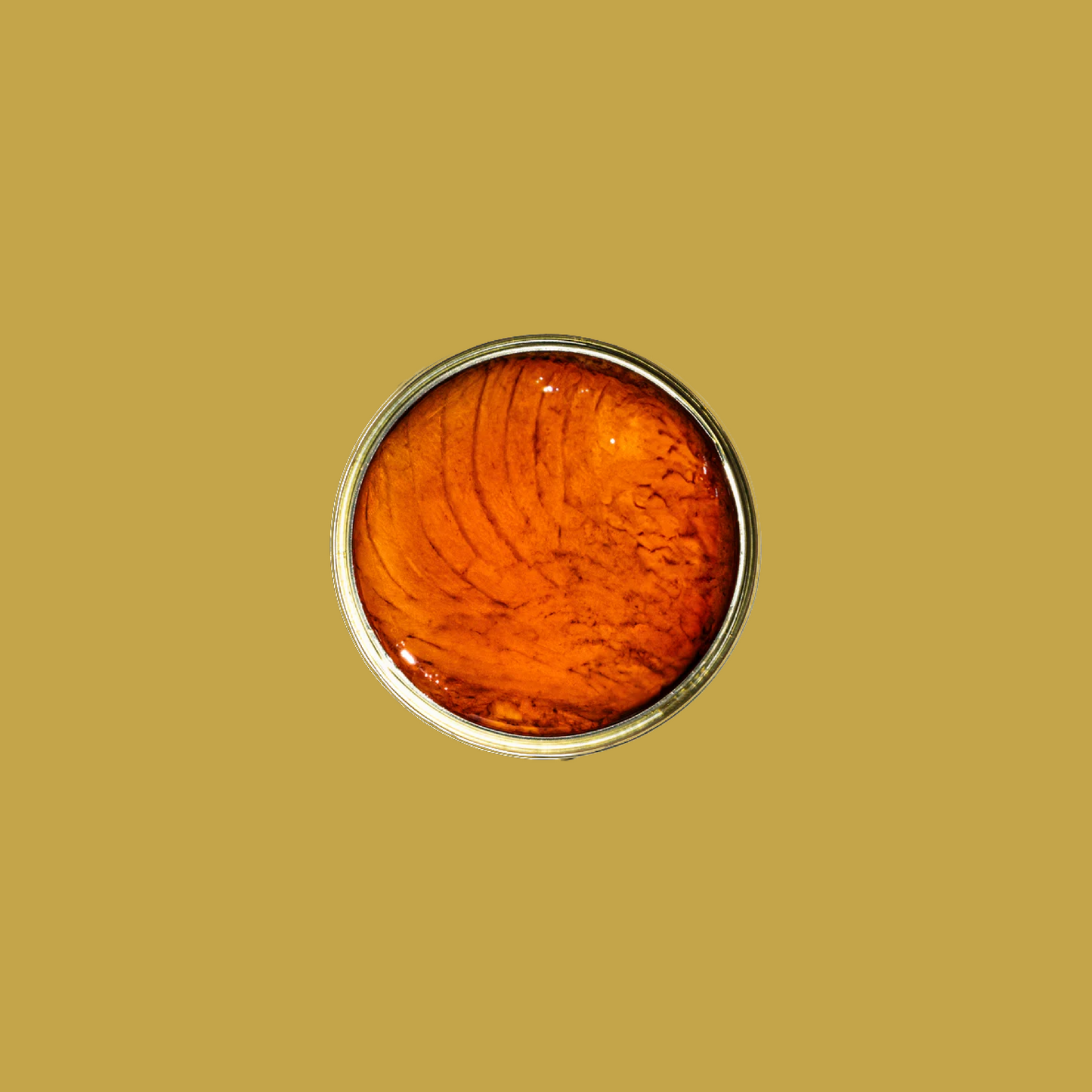 Tinned fish, albacore tuna in spicy olive oil