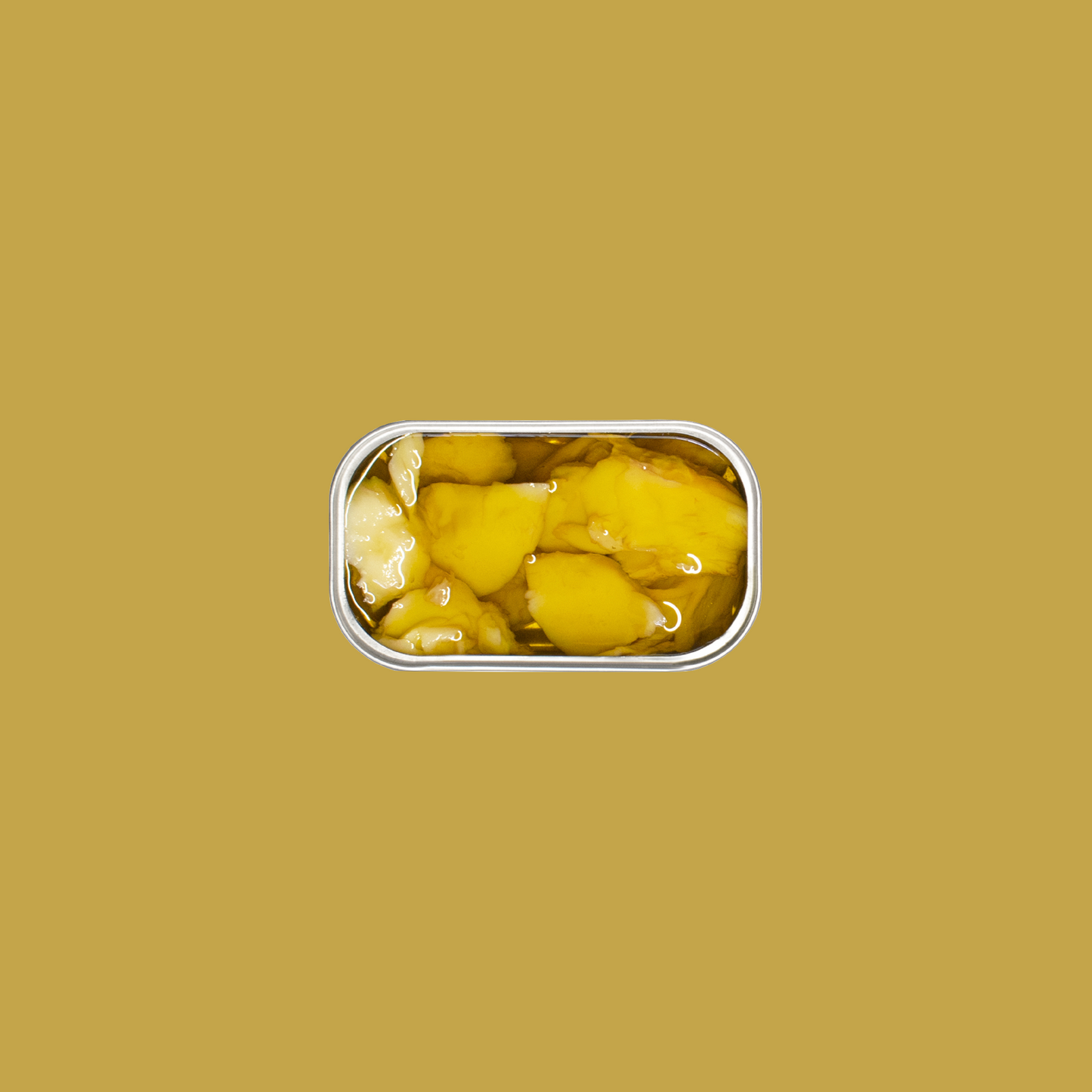 Tinned fish, Codfish in Olive Oil + Garlic by Jose Gourmet
