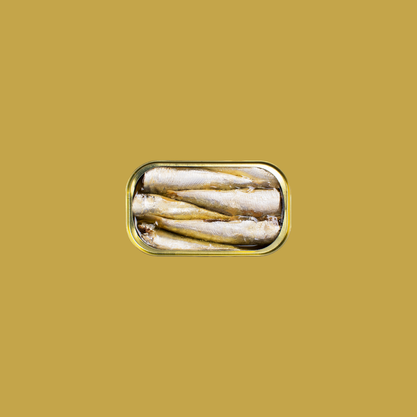 Fintastic Provisions, Smoked Small Sardines in EVOO by Jose Gourmet