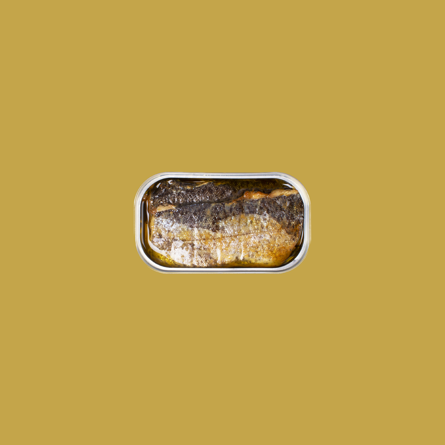 Fintastic Provisions, Smoked Trout Fillets in Extra Virgin Olive Oil by Jose Gourmet
