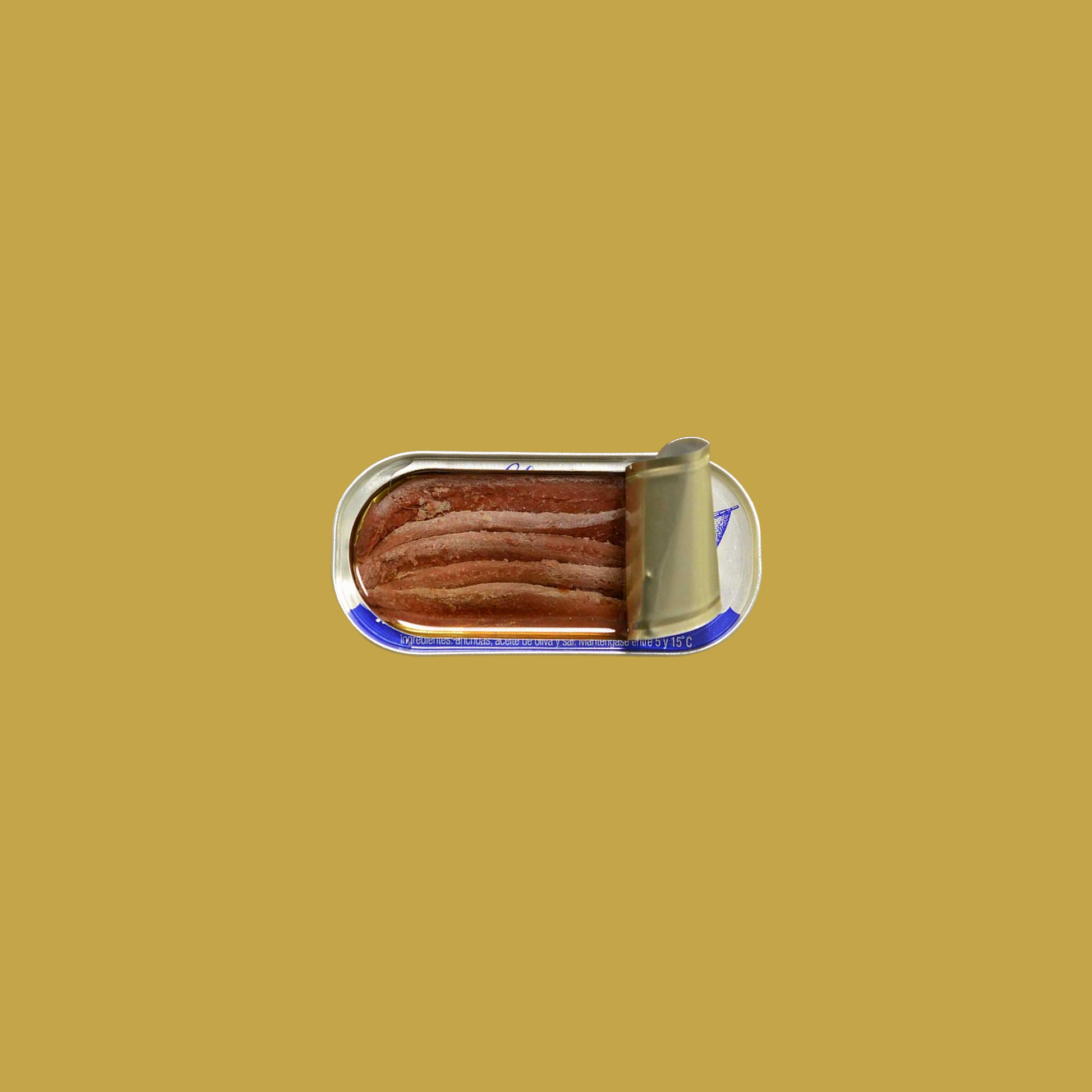 Tinned fish, salted anchovies in olive oil by Ortiz