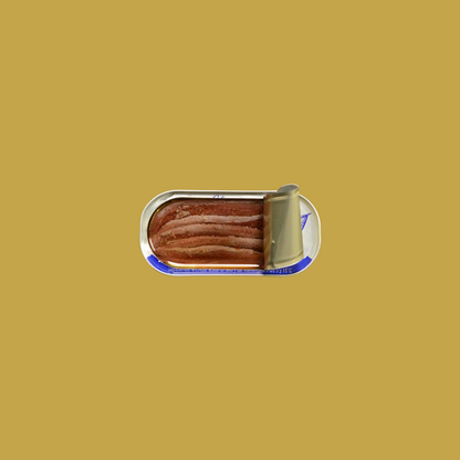 Tinned fish, salted anchovies in olive oil by Ortiz