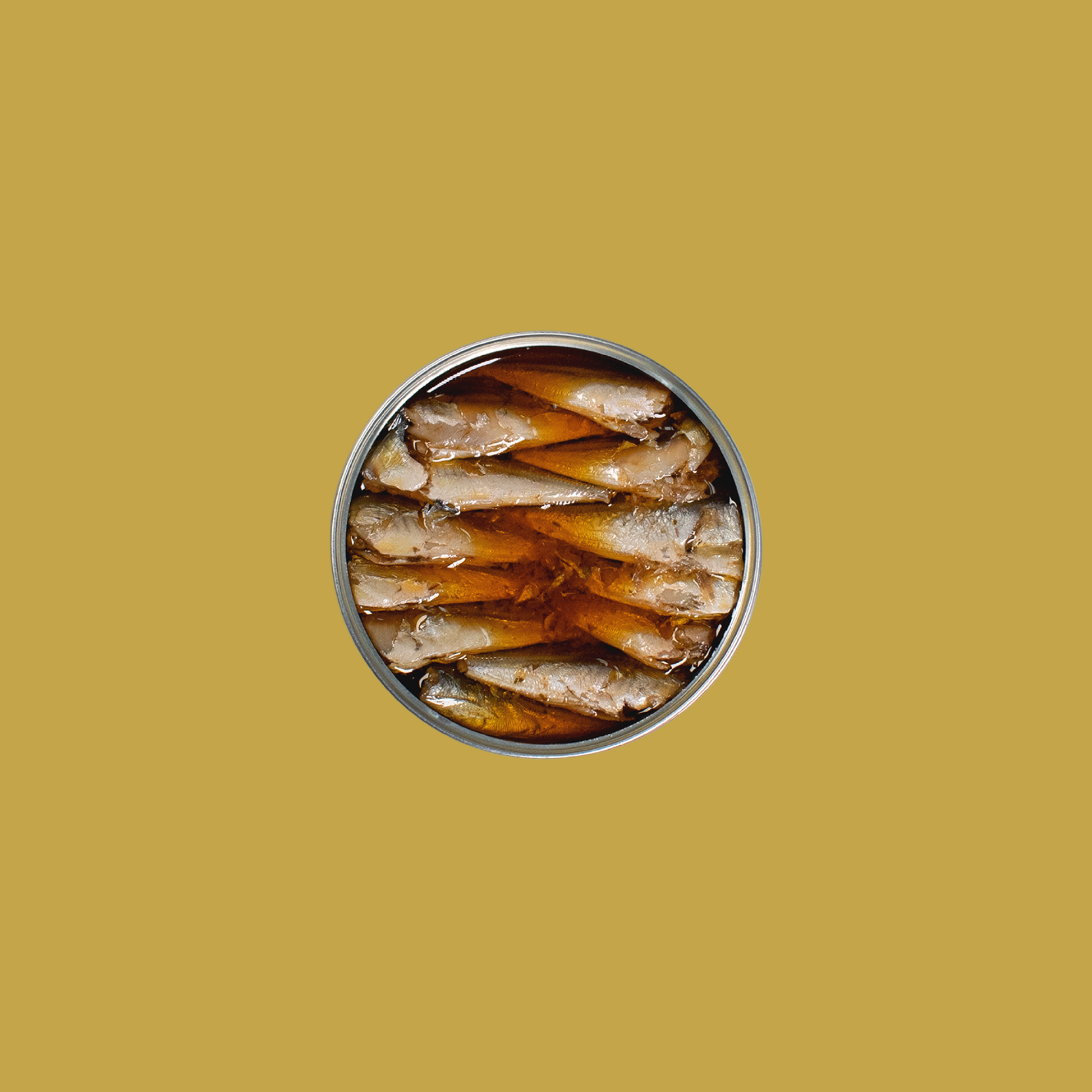 Tinned fish, horse mackerel by Jose Gourmet