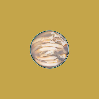 Tinned fish, Razor Clams in Brine by La Curiosa