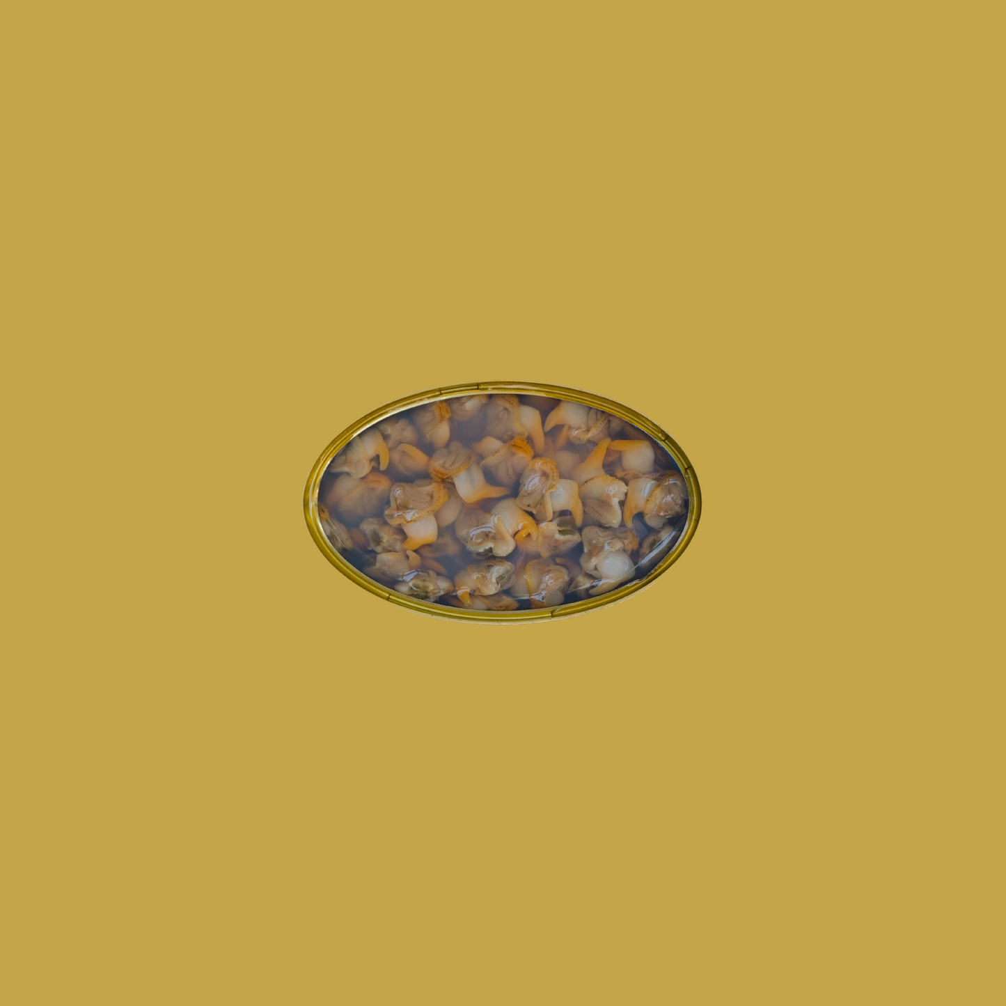 Matiz Wild Cockles in Sea Salt Brine