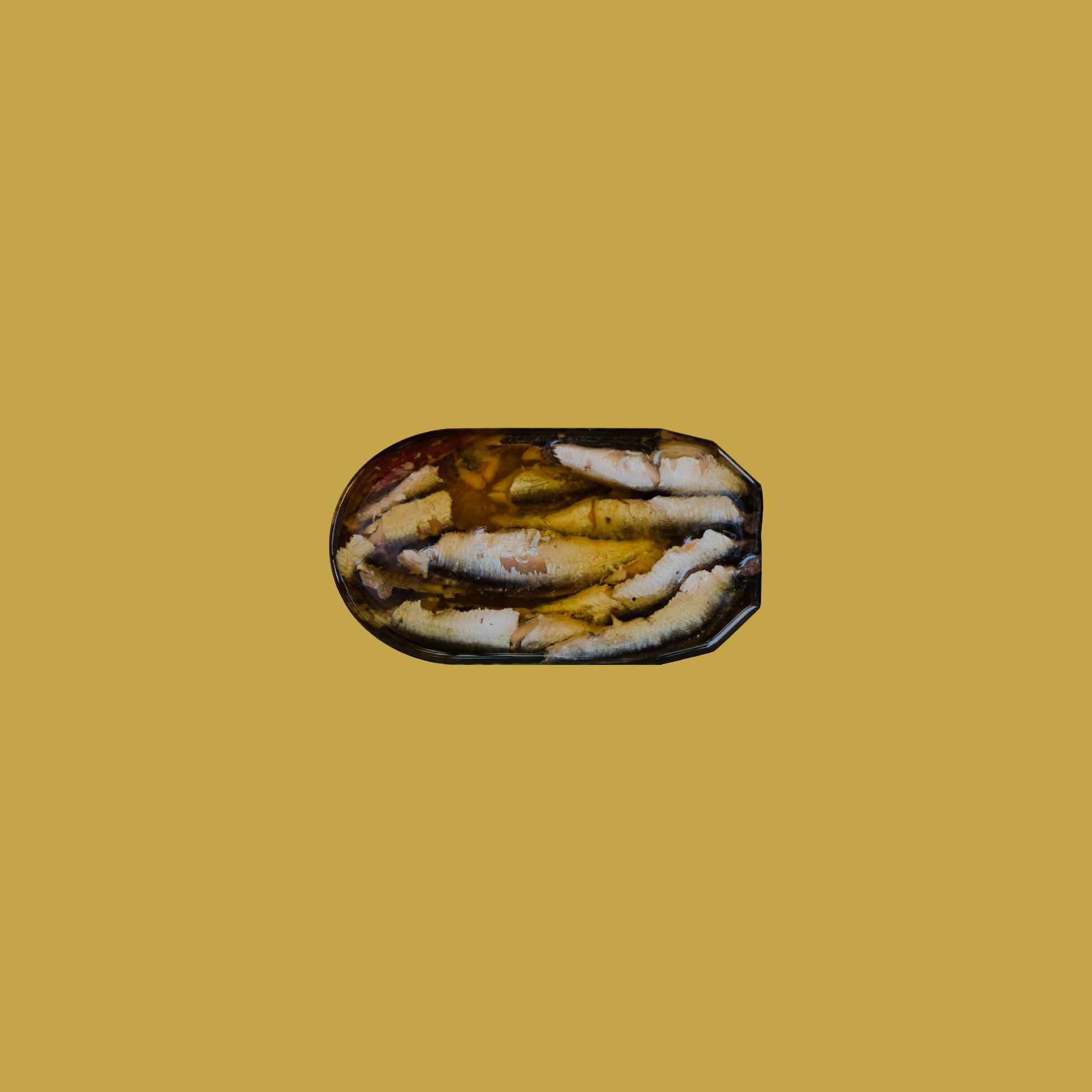 Tinned fish anchovies with cayenne pepper and garlic by Olasagasti
