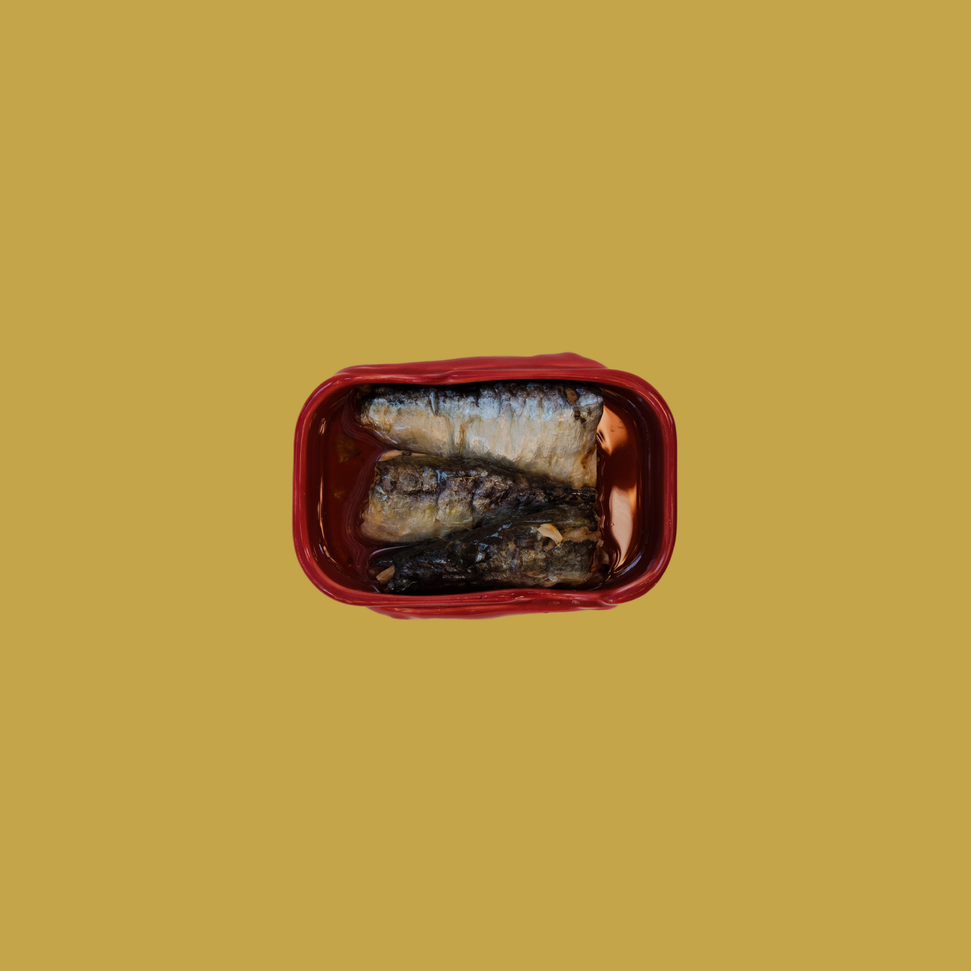 Sardines in Olive Oil by Ortiz