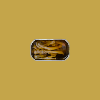 Tinned fish, Razor Clams w/ Sea Spaghetti + Garlic by Porto-Muiños