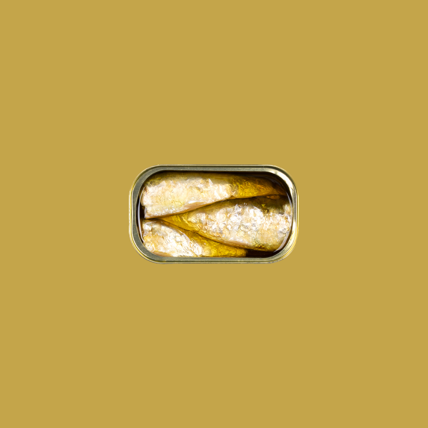 Tinned fish, Sardines in Extra Virgin Olive Oil by Jose Gourmet